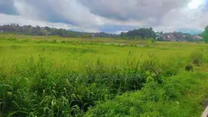 Land For Sale In Weerauyana Pannipitiya
