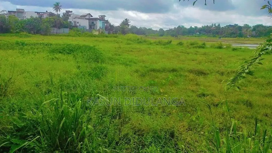 Land For Sale In Weerauyana Pannipitiya
