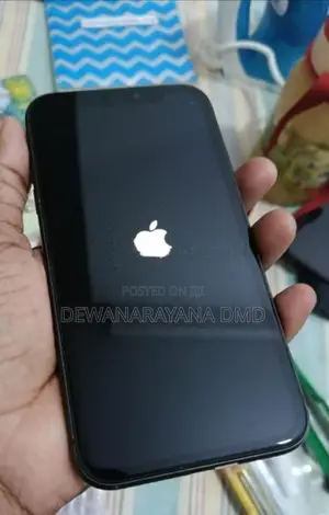 Apple iPhone 11 (Used)