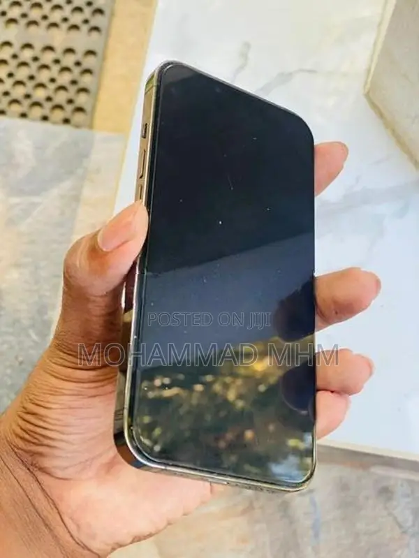 Apple iPhone 13 Pro (Used)