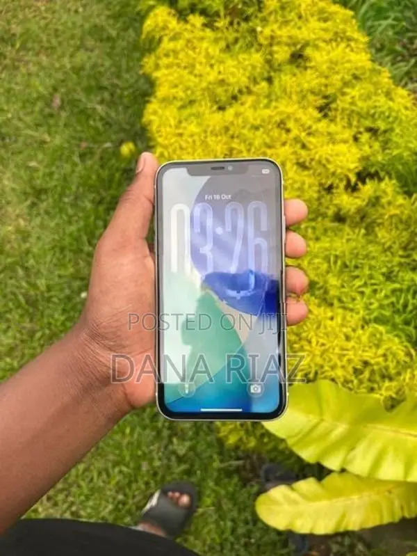 Apple iPhone 11 (Used)