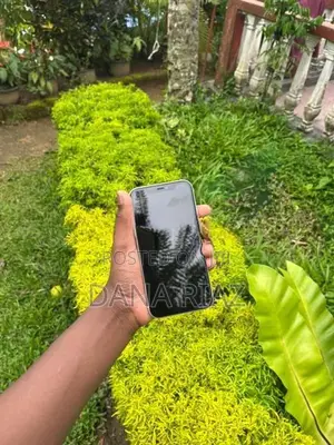 Apple iPhone 11 (Used)