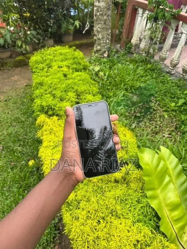 Apple iPhone 11 (Used)