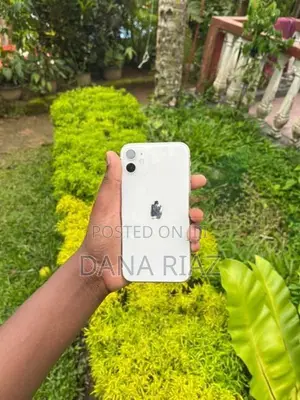Apple iPhone 11 (Used)