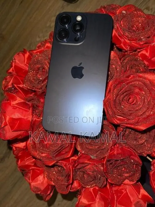 Apple iPhone 15 Pro Max (Used)