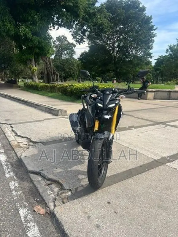 Yamaha MT 15 V2 2025
