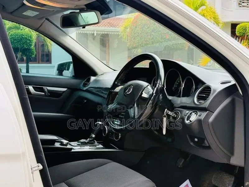 Mercedes Benz C220 Highest 2013