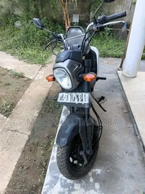 Honda Navi 2017