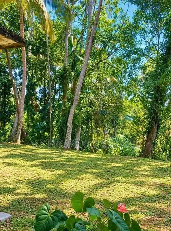 67-Perch Land For Sale In Induruwa (Sspl-546) Alutgama