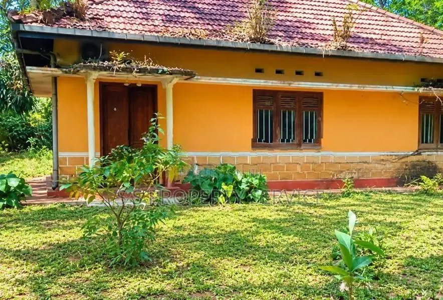 67-Perch Land For Sale In Induruwa (Sspl-546) Alutgama