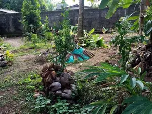 Residential Rectangular Land for Sale - Kottawa