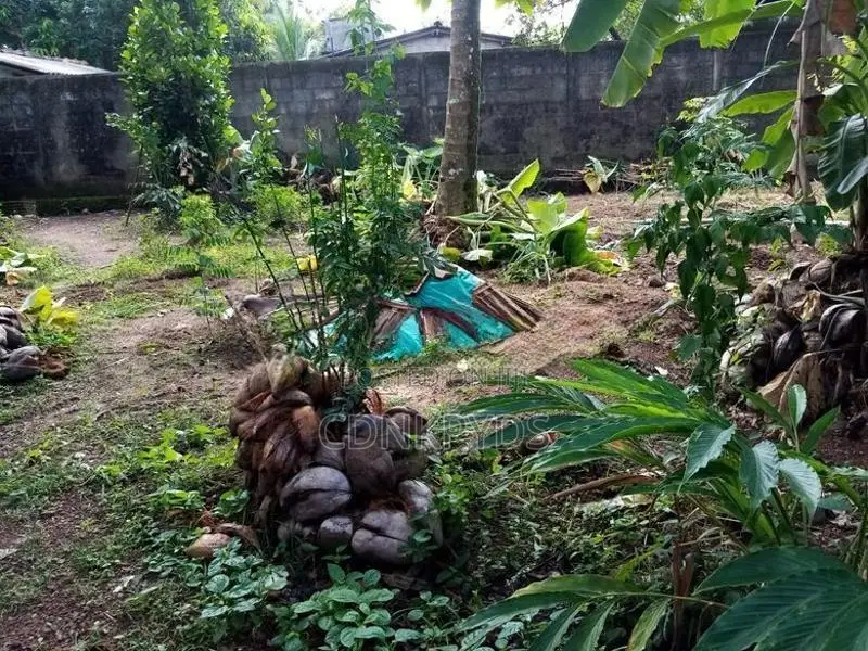 Residential Rectangular Land for Sale - Kottawa