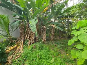 11 P Bare Land for Sale in Battaramulla