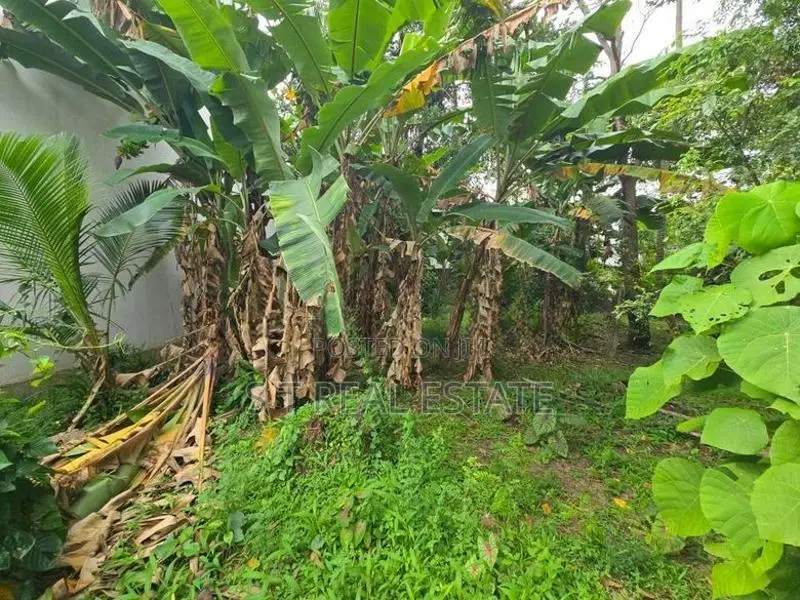 11 P Bare Land for Sale in Battaramulla