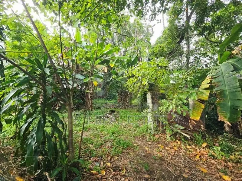 11 P Bare Land for Sale in Battaramulla