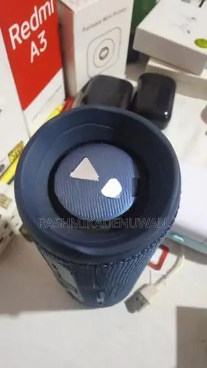 JBL Flip 6