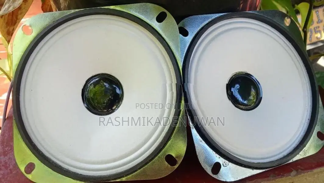 4'' Inch Dual (2) Speaker