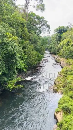 Valuable Tea State for Sale in Kuruwita
