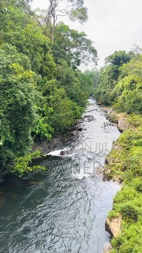 Valuable Tea State for Sale in Kuruwita