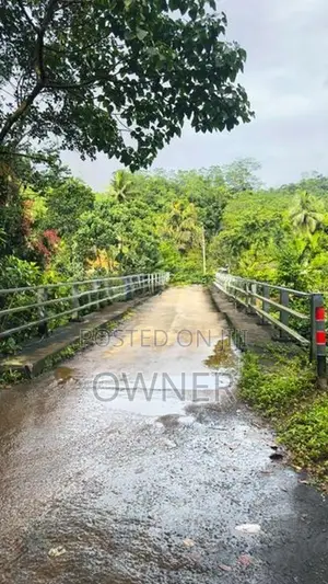 Valuable Tea State for Sale in Kuruwita