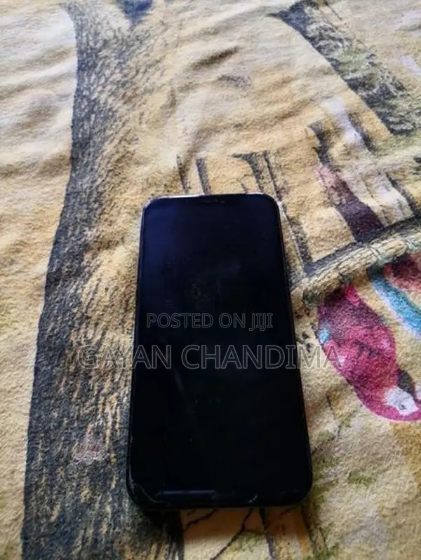 Apple iPhone 12 Pro Max (Used)