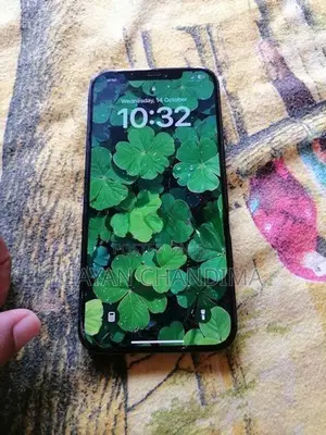 Apple iPhone 12 Pro Max (Used)