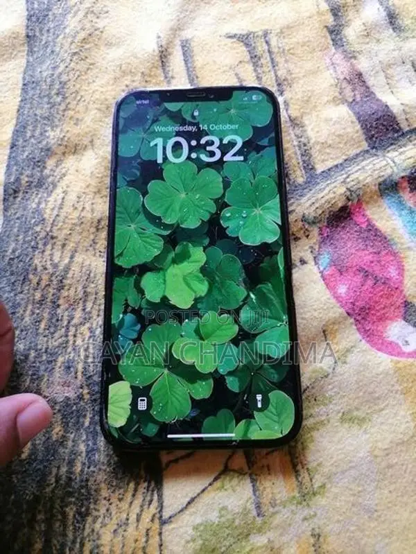 Apple iPhone 12 Pro Max (Used)