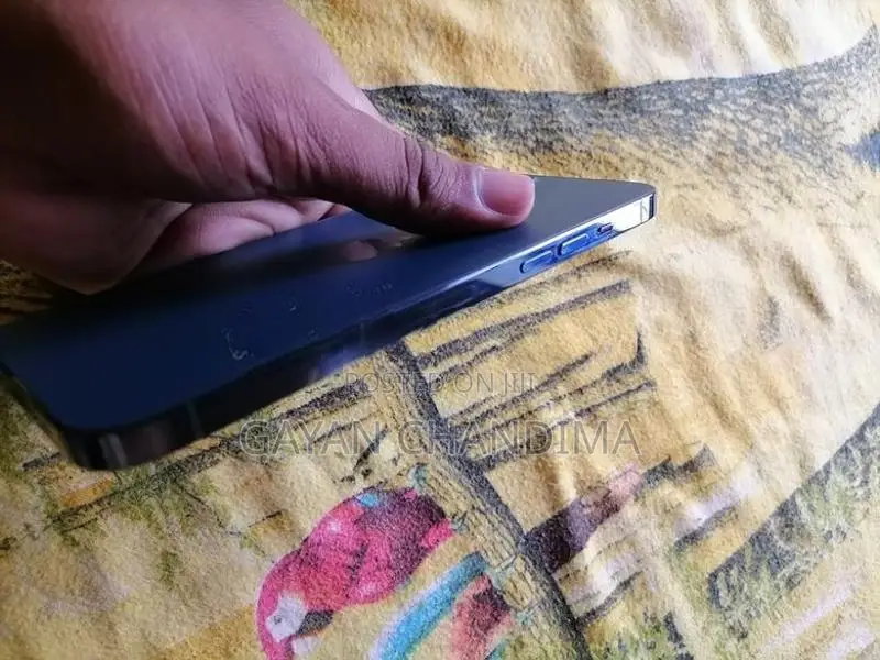 Apple iPhone 12 Pro Max (Used)