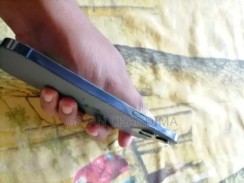 Apple iPhone 12 Pro Max (Used)