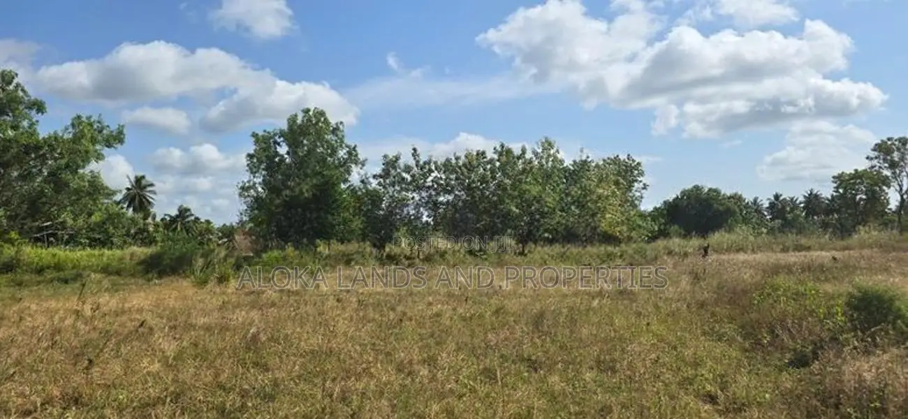 Land For Sale In Dambulla - දඹුල්ලෙන් අනර්ඝ ඉඩමක් විකිණීමට