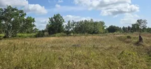 Land For Sale In Dambulla - දඹුල්ලෙන් අනර්ඝ ඉඩමක් විකිණීමට