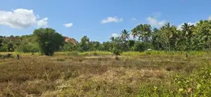 Land For Sale In Dambulla - දඹුල්ලෙන් අනර්ඝ ඉඩමක් විකිණීමට