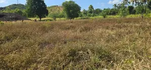Land For Sale In Dambulla - දඹුල්ලෙන් අනර්ඝ ඉඩමක් විකිණීමට