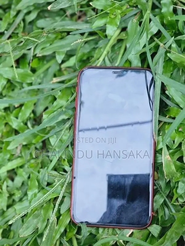 Apple iPhone 11 (Used)