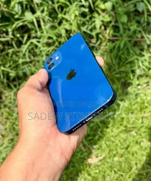 Apple iPhone 12 (Used)