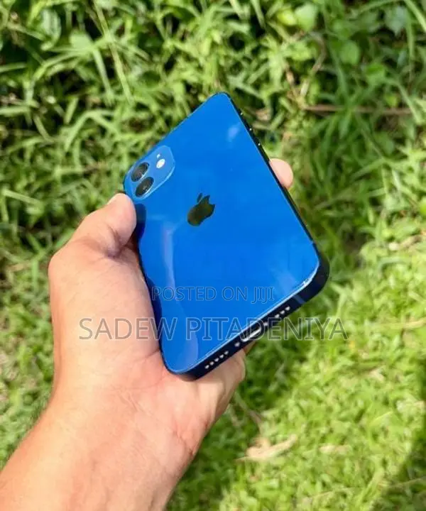 Apple iPhone 12 (Used)