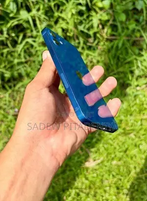 Apple iPhone 12 (Used)