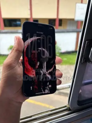 Apple iPhone 12 (Used)