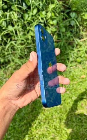 Apple iPhone 12 (Used)