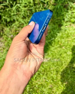 Apple iPhone 12 (Used)
