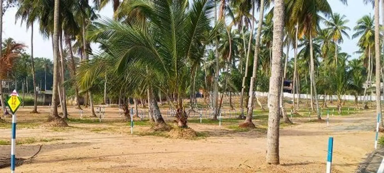 Naiwala Land for Sale