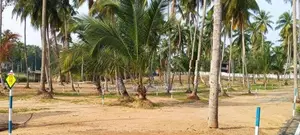 Naiwala Land for Sale