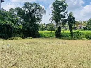 Pannipitiya Mahalwarawa 13 P Land - Near Paddy Field ( Can give 6.5 )