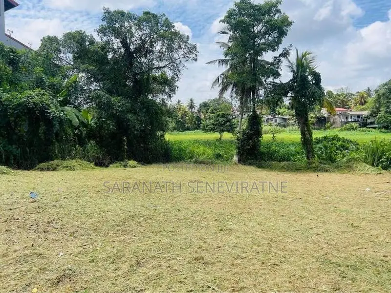 Pannipitiya Mahalwarawa 13 P Land - Near Paddy Field ( Can give 6.5 )