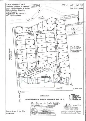 Land in Paladikulama - Airport Road