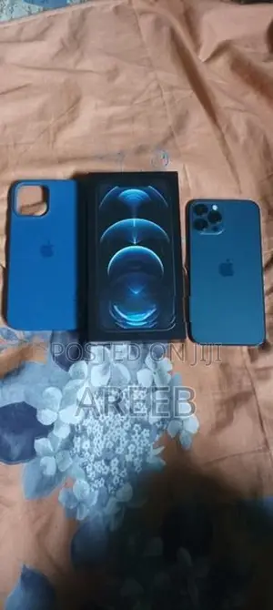 Apple iPhone 12 Pro Max (Used)