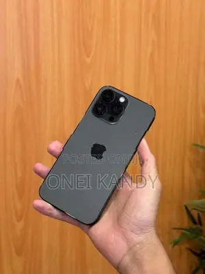 Apple iPhone 14 Pro Max 256GB (Used)
