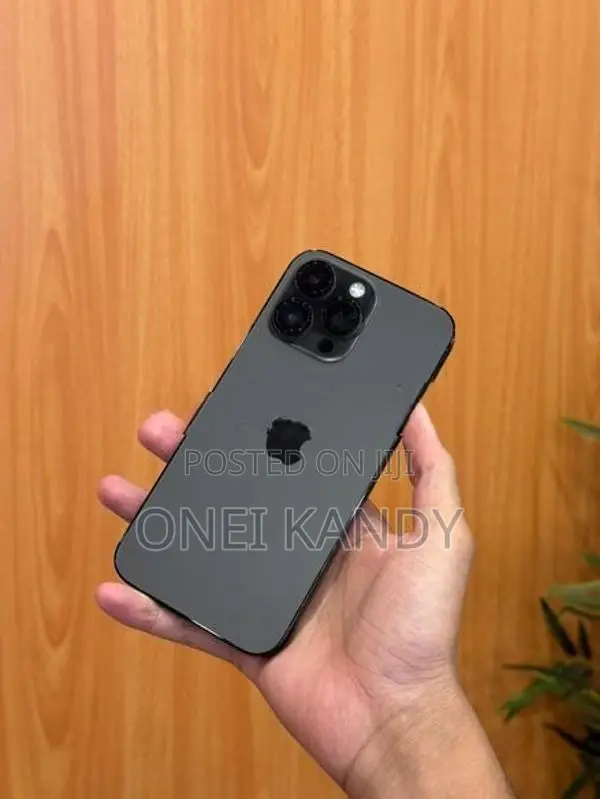 Apple iPhone 14 Pro Max 256GB (Used)