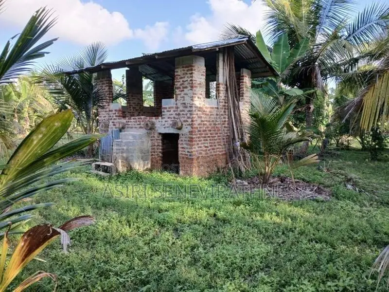 දැදුරු ඔය ජලාශය ආසන්නයේ ඉඩමක් විකිණීමට - Nikaweratiya