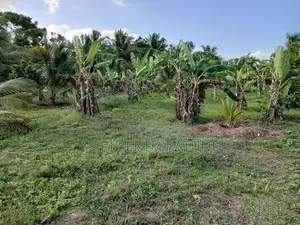 දැදුරු ඔය ජලාශය ආසන්නයේ ඉඩමක් විකිණීමට - Nikaweratiya